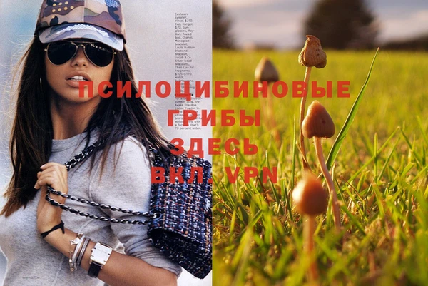 синтетический гашиш Пересвет